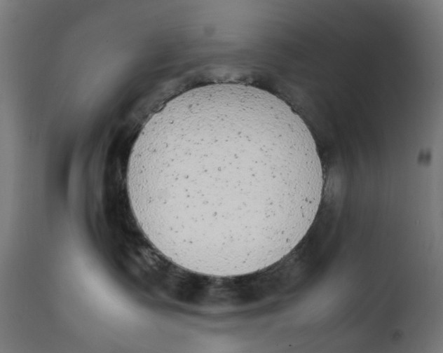 X0000112040335200908241609