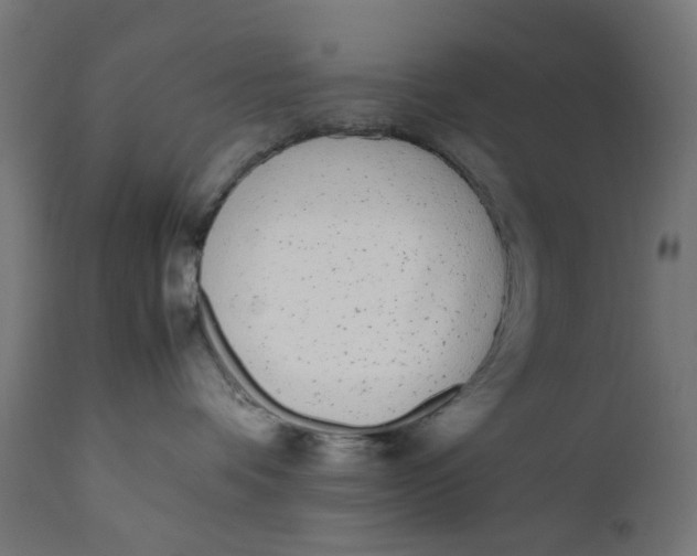 X0000112040336200908241609