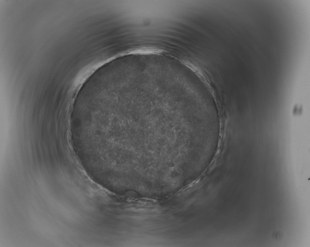 X0000112040337200908241608