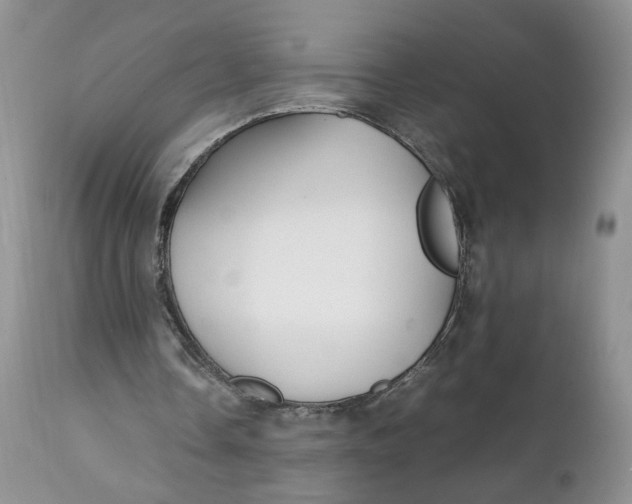 X0000112040338200908241608