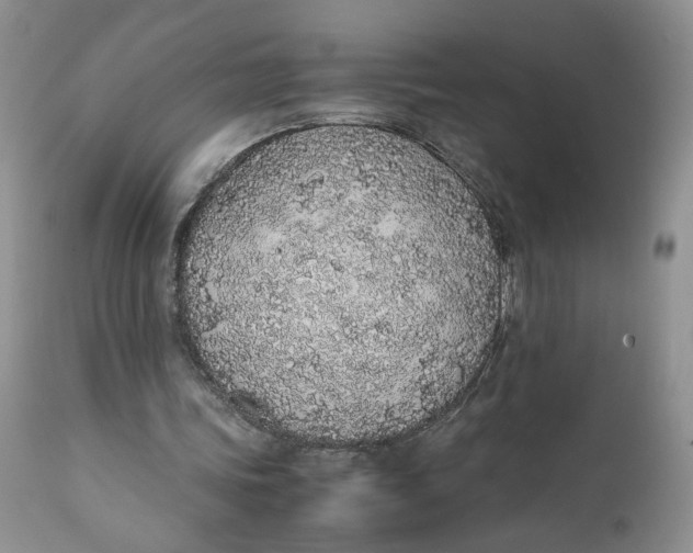 X0000112040339200908241608