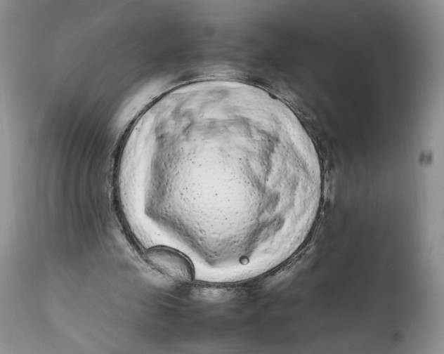 X0000112040341200908241608