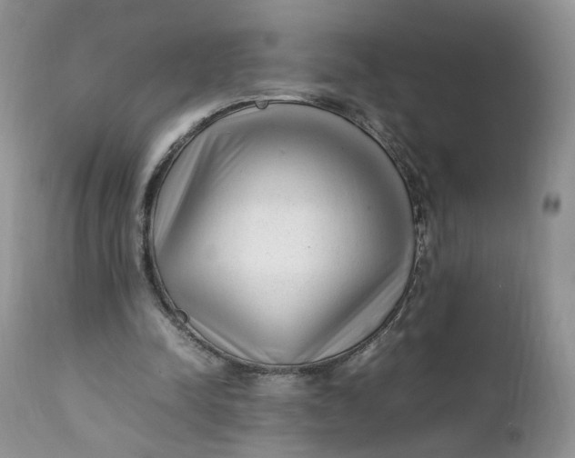 X0000112040342200908241608