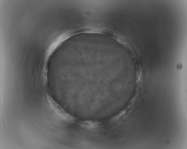 X0000112040343200908241608