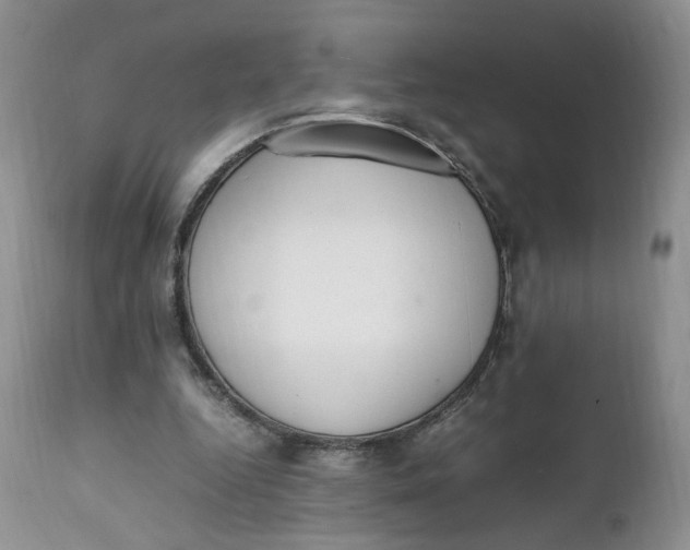 X0000112040344200908241608