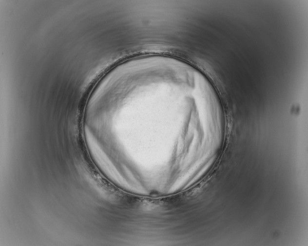 X0000112040346200908241608