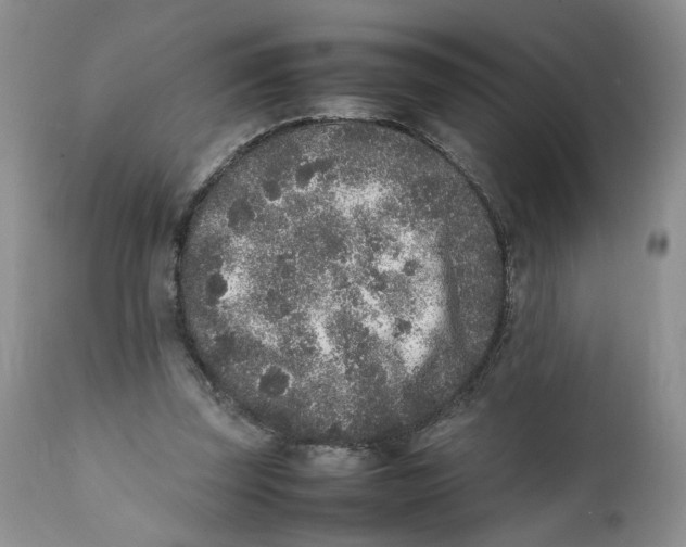 X0000112040347200908241608