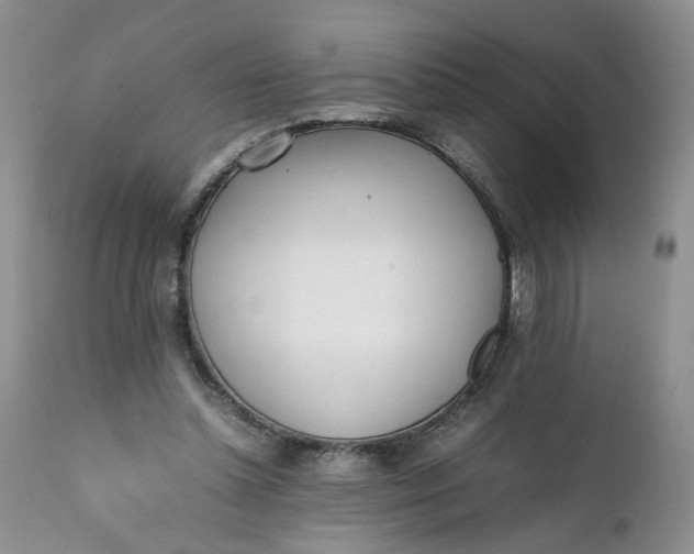 X0000112040348200908241608