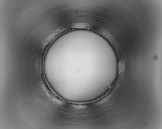 X0000112040349200908241608
