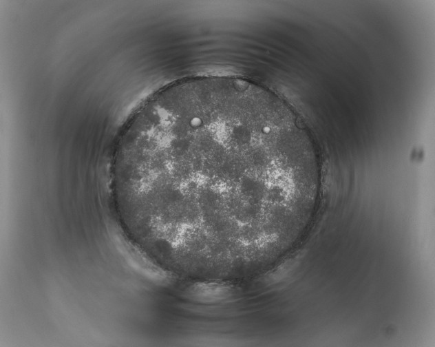 X0000112040351200908241608