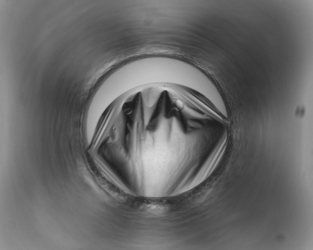 X0000112040352200908241608