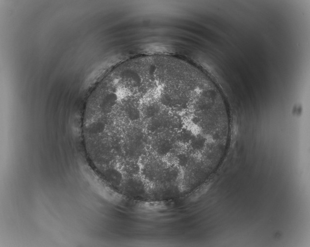 X0000112040353200908241608