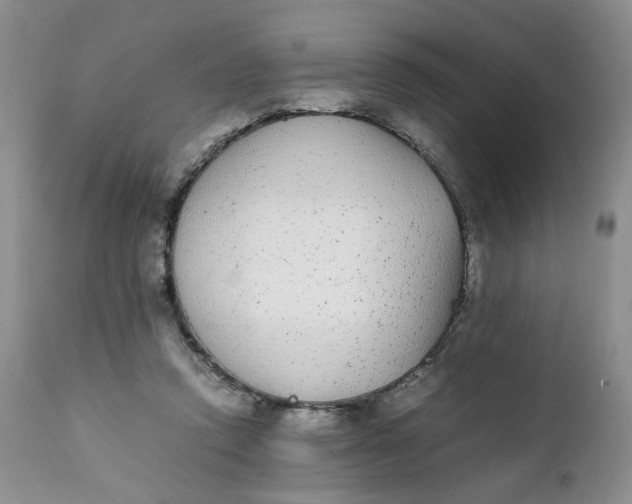 X0000112040354200908241608