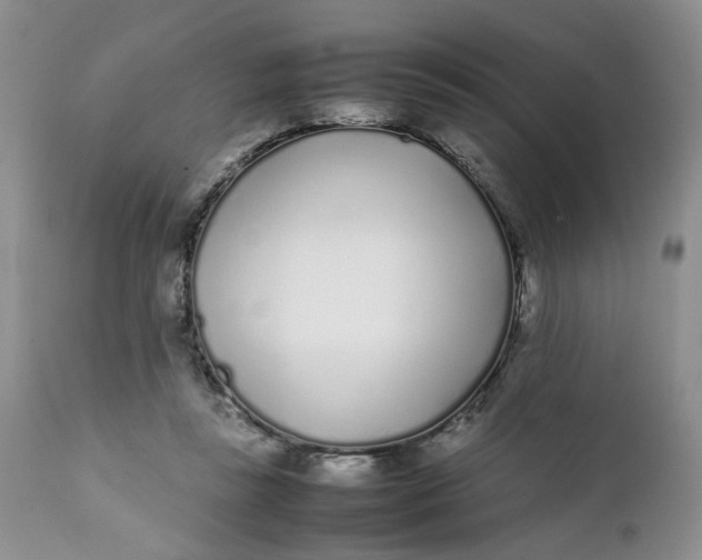 X0000112040355200908241608