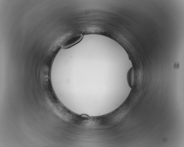 X0000112040356200908241608