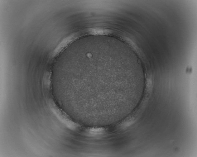 X0000112040357200908241608