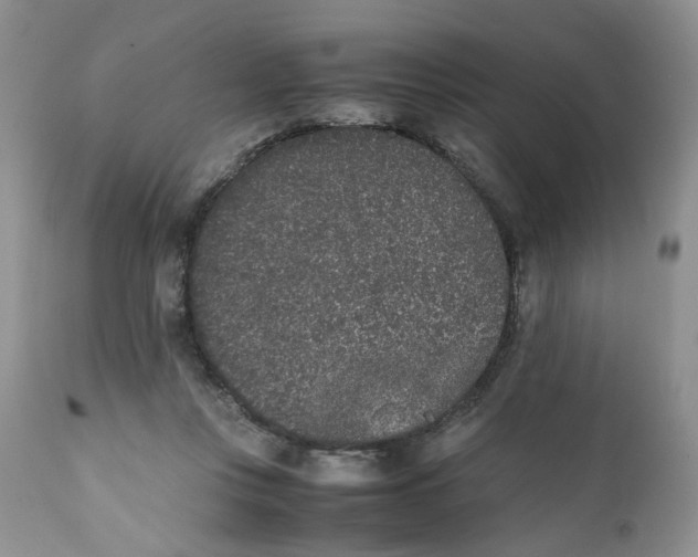 X0000112040359200908241608
