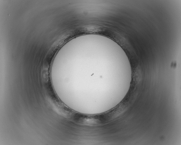 X0000112040360200908241608