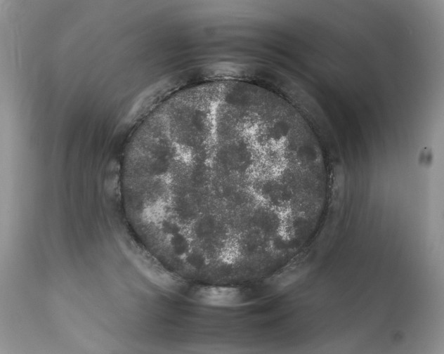 X0000112040361200908241608
