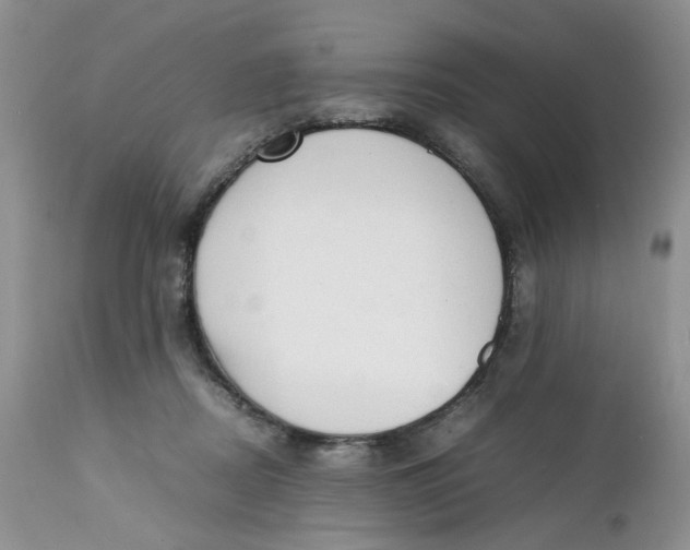 X0000112040362200908241608