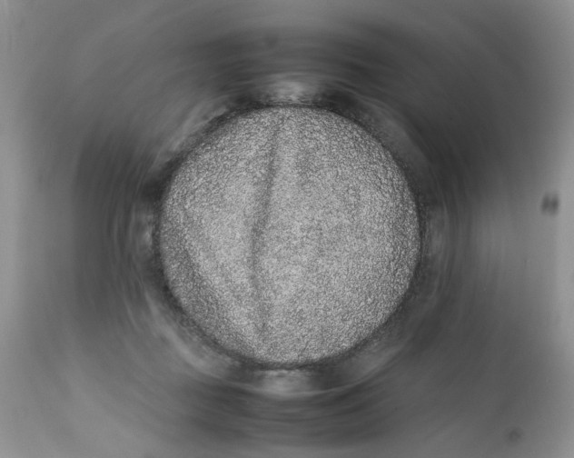 X0000112040363200908241608