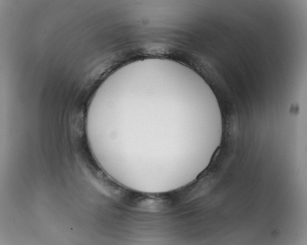 X0000112040364200908241608