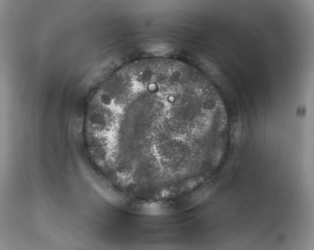 X0000112040365200908241608
