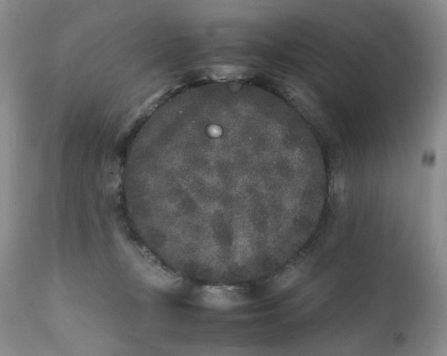 X0000112040367200908241608