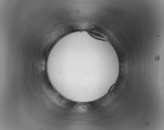 X0000112040368200908241608