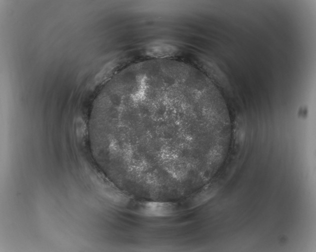 X0000112040371200908241608
