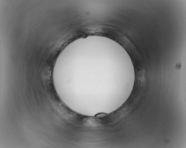 X0000112040372200908241608