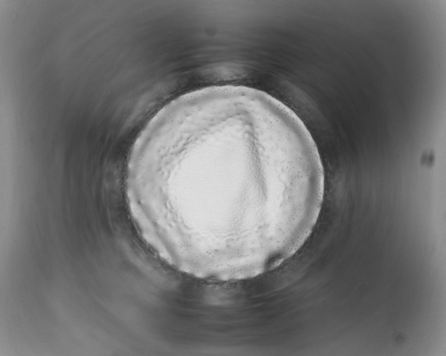 X0000112040373200908241608