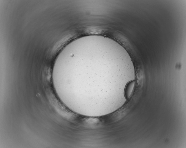 X0000112040374200908241608