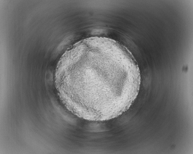 X0000112040375200908241608