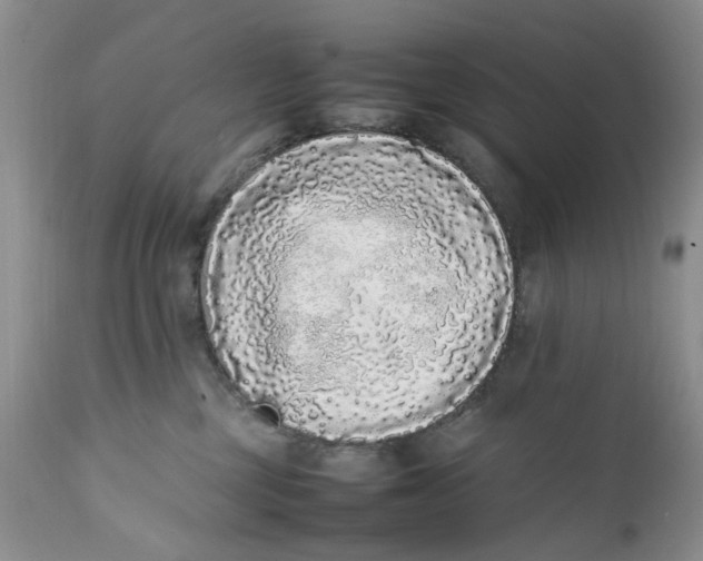 X0000112040377200908241608