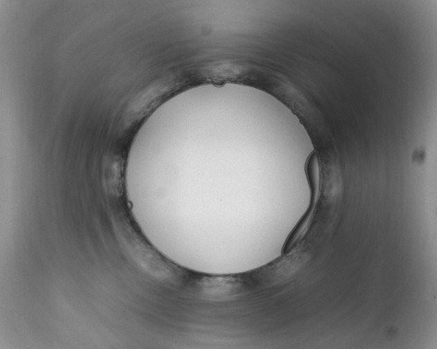 X0000112040378200908241608