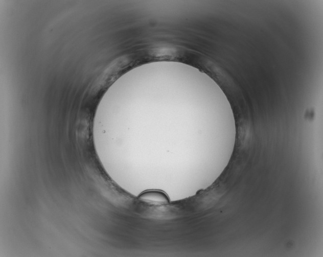 X0000112040379200908241608