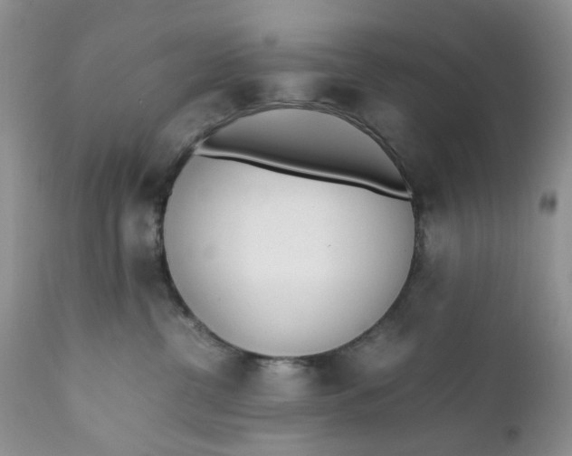 X0000112040380200908241608