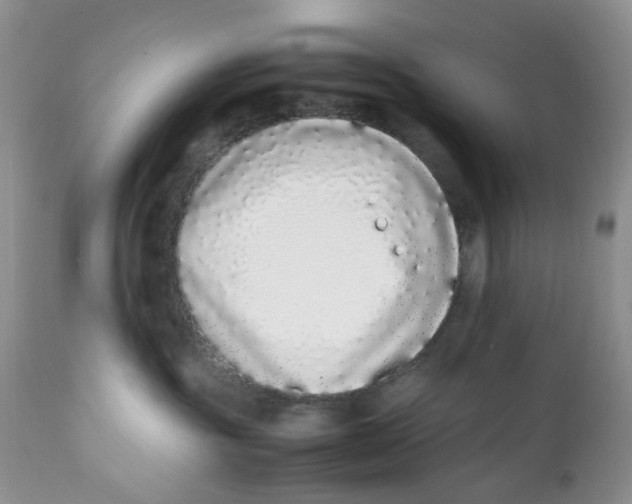 X0000112040381200908241608