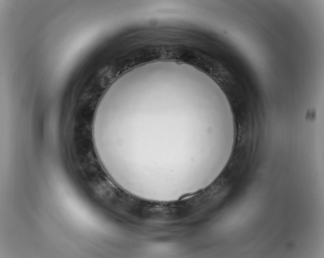 X0000112040383200908241608