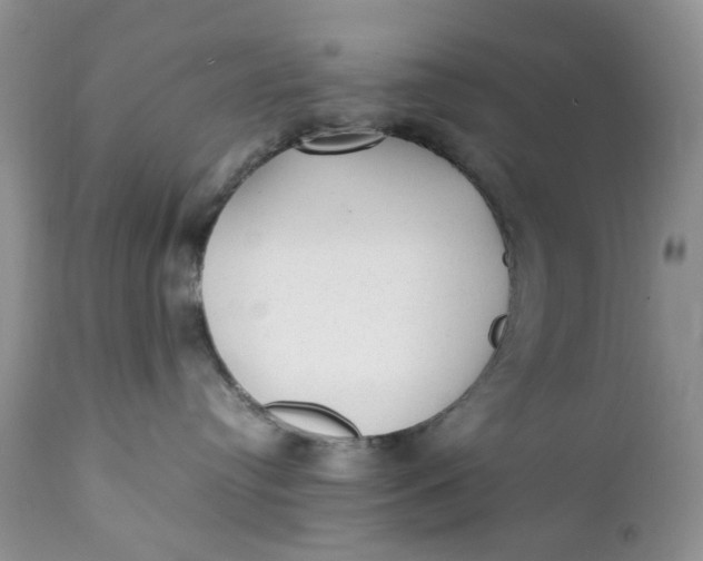 X0000112040384200908241609