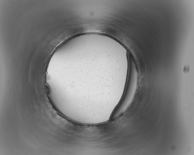 X0000112040385200908241608