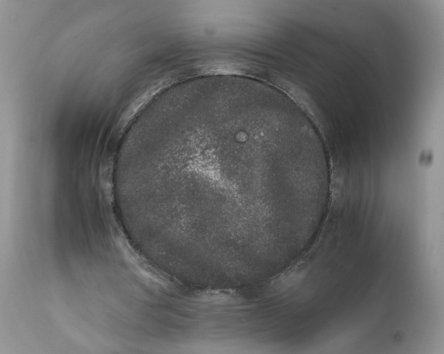 X0000112040386200908241608