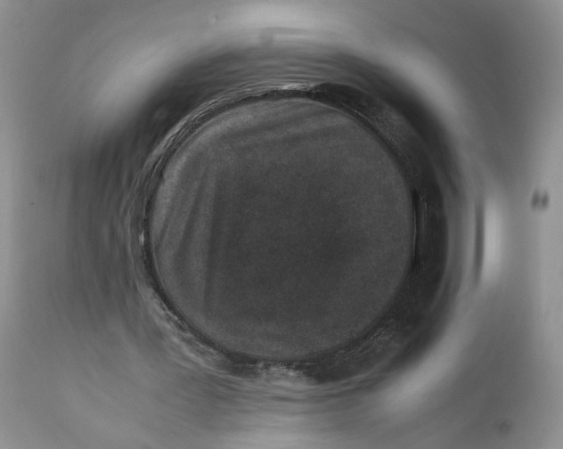 X0000112040387200908241608