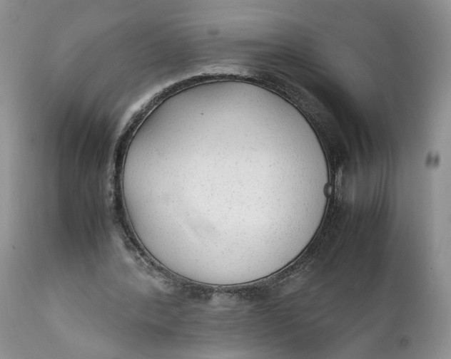X0000112040388200908241608