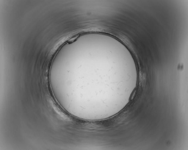 X0000112040389200908241608