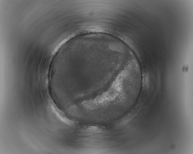X0000112040390200908241608