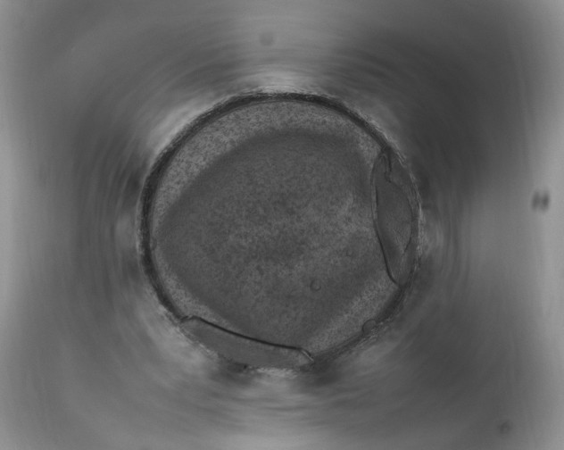 X0000112040391200908241608