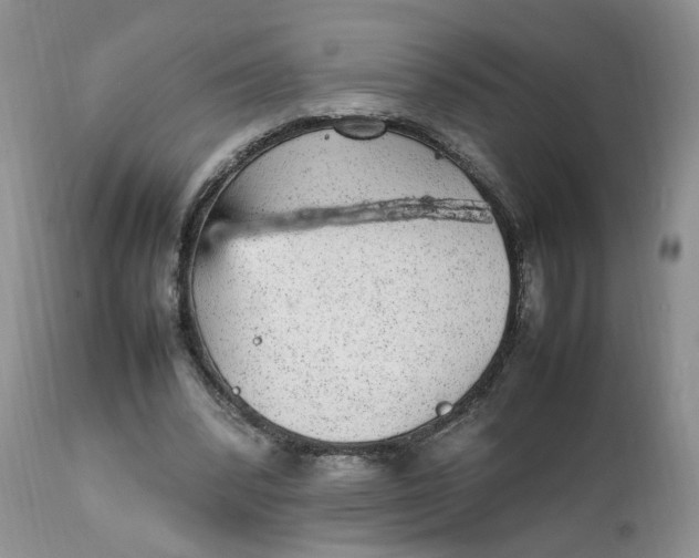 X0000112040392200908241608