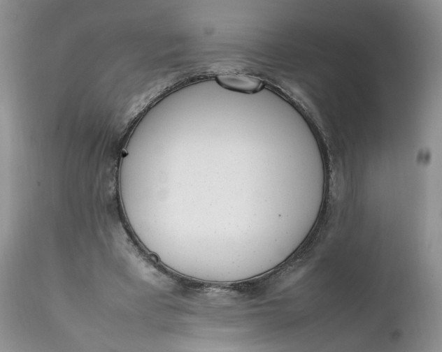 X0000112040393200908241608